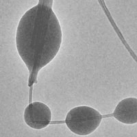 Glassy drops of carbon coat the fibers that house nanotubes after their synthesis with a carbon arc.